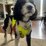 Sonja Hanson - @sonja_hanson1969 - Instagram
