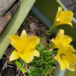 Sonja Canas Held - @heldsrc - Instagram