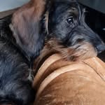Sonja Held - @sonja_held - Instagram