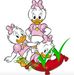 Sonja Held - Facebook