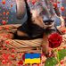 Sonja Held - Facebook
