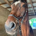 Sonjaheld - @sonjaheld8 - Instagram
