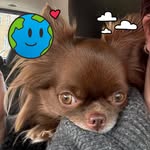 Sonja Heller - @heller559 - Instagram