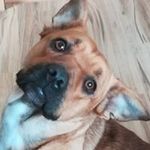 Sonja Heller - @sonja.krainer56 - Instagram