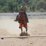 Sonja Heller - Facebook