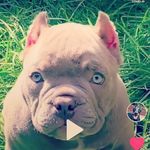 Sonja Heller-Hock - @hellerhock - Instagram