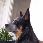 Sonja Hess - Facebook