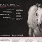 Sonja Hess - @showdownranch - Instagram