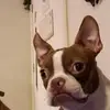 Sonja Hirsch646 - @sonjahirsch646 - TikTok