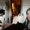 sonjahirschfeld1 - @sonjahirschfeld1 - TikTok