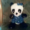 Sonja Hitzmann - @sonjahitzmann - TikTok