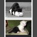 Sonia Holton - Facebook
