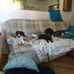 Sonja Homer - Facebook