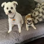 Sonja Homer - @homersonja - Instagram