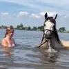Sonja Homeyer - @sonja.homeyer - TikTok