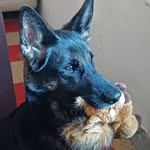 Son Tag - @sonjaachorner - Instagram