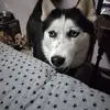sonjahurley3 - @sonjahurley3 - TikTok