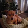 Sonja Jacobi - @sonja.jacobi - TikTok