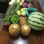 Sonja Jamison - @eel_and_lychi - Instagram