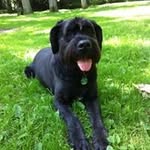 Sonja Janßen - @sonja26121 - Instagram