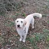 Sonja_sonja - @sonja2303 - TikTok