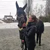 Sonja-irene Johansen - @sonjairenejohansen - TikTok