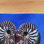 Sonja Johnston - @sonja.johnston.31 - Instagram