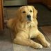 Sonja Judd - Facebook