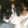 Sonja/Nina 🐱♥️ - @sonjakatzenina - TikTok
