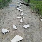 Sonja Kelley Ray - @ray_sonja - Instagram