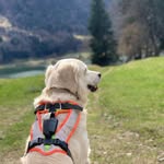 Sonja Kempf - @sonja.kempf.77 - Instagram