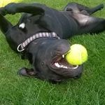 Sonja Kennedy - @dambok.1 - Instagram
