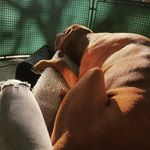Sonja Kern - @son.kern - Instagram