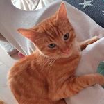 Sonja Kern - @sonja.kern.779 - Instagram