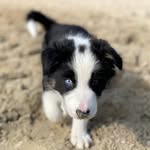 Sonja Klein Gunnewiek - @sonjakleingunnewiek - Instagram