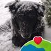 Sonja Knapp - Facebook