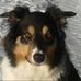 Sonja Knapp - Facebook