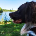 Sonja Kokkelenberg - @sonjakokkelenberg - Instagram