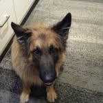 Sonja Krieger - @krieger8280 - Instagram