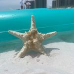 Sonya Kyser - @sonigirl64 - Instagram