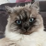 so.nja78 - @sonjaland78 - Instagram