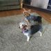 Sonja Lane - Facebook