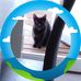 Sonja Lewis - Facebook