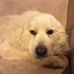 Sonja Lewis - Facebook