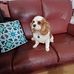 Sonja Lewis - Facebook