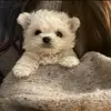 Sonja Lindsey995 - @user1335284183822 - TikTok