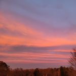 Sonja Gothard Lowery - @lowery_sonja - Instagram