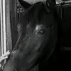 sonjalucassen6711 - @sonjalucassen6711 - TikTok