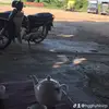 Sonja Mack - @sonja.mack96 - TikTok