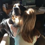 Sonja Maher - @sonja_maher_ - Instagram